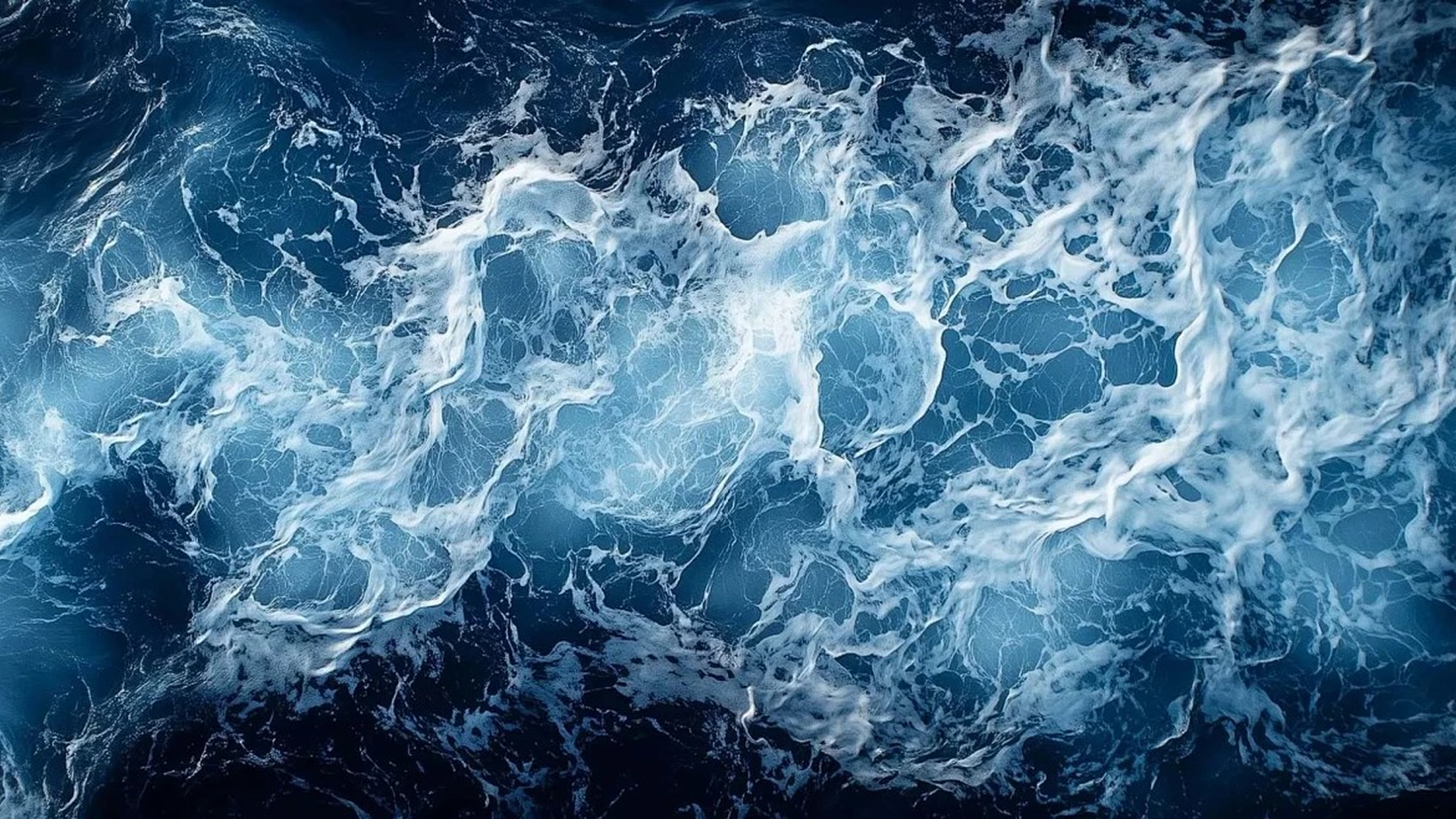 海天
